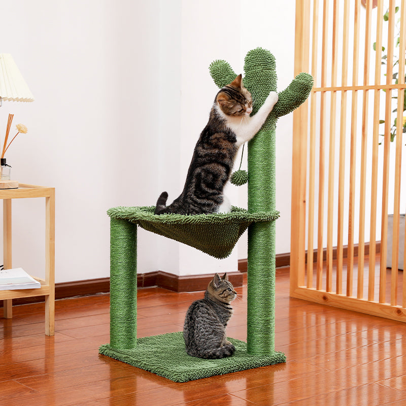 cat tree cactus