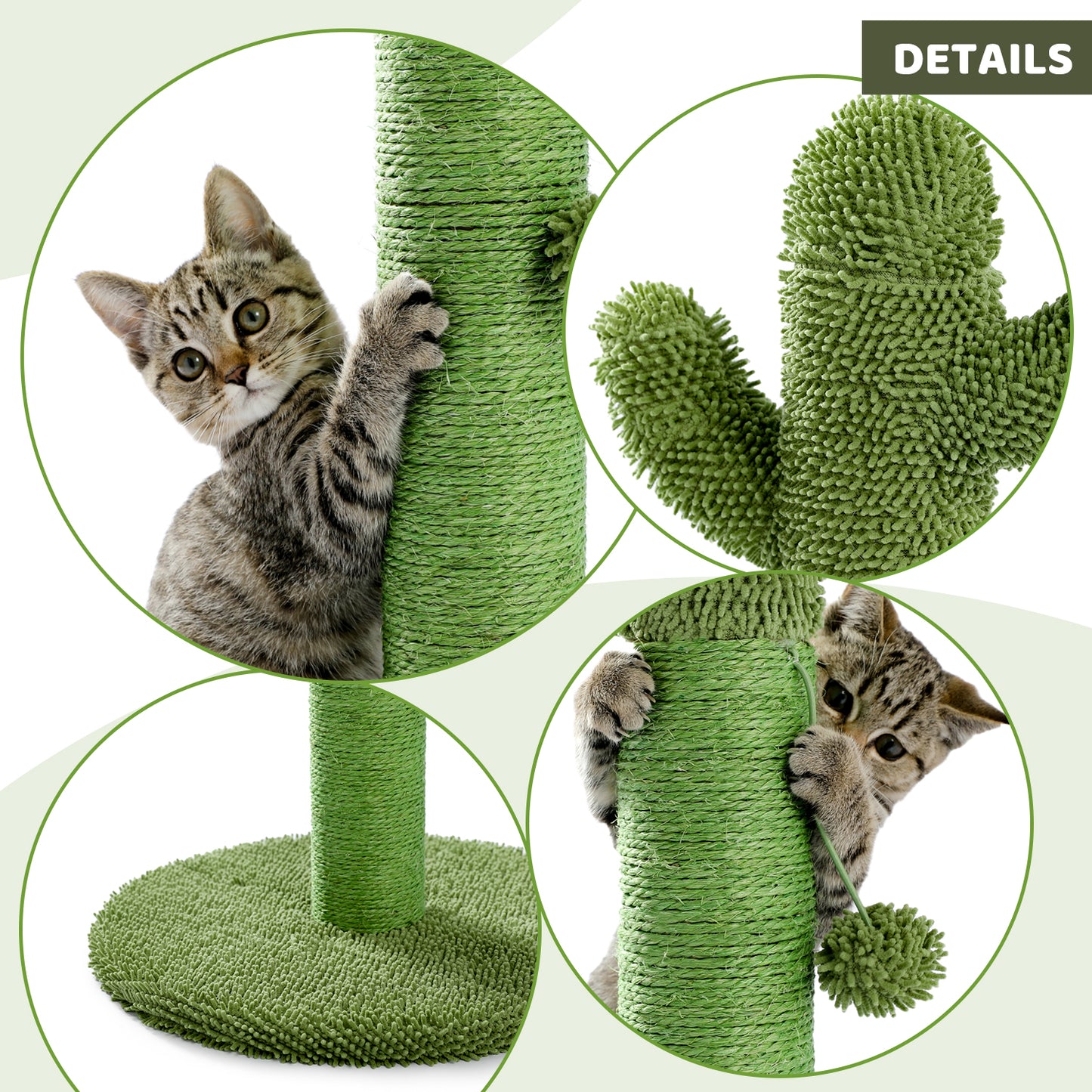 cat tree cactus details