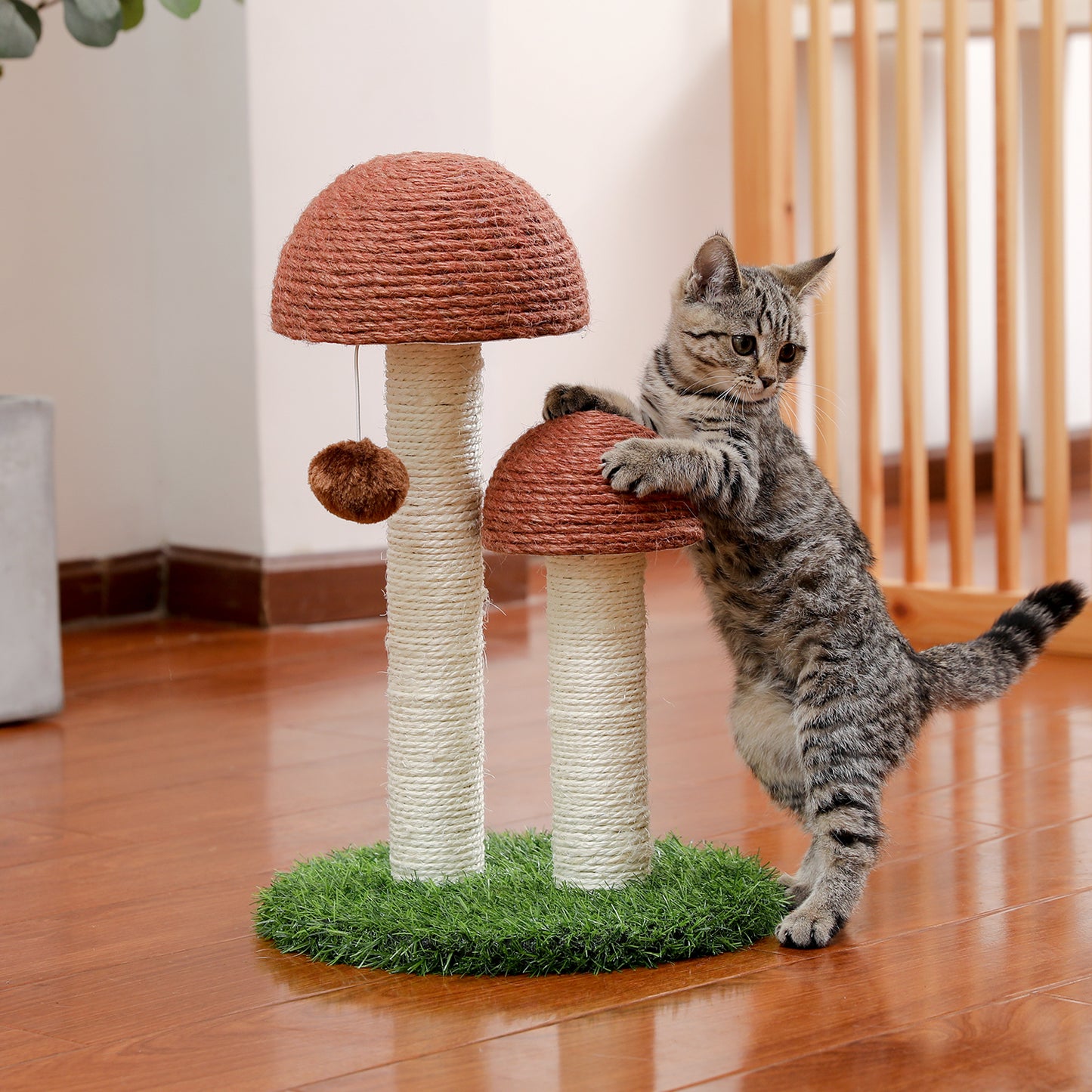 cat tree mushroom