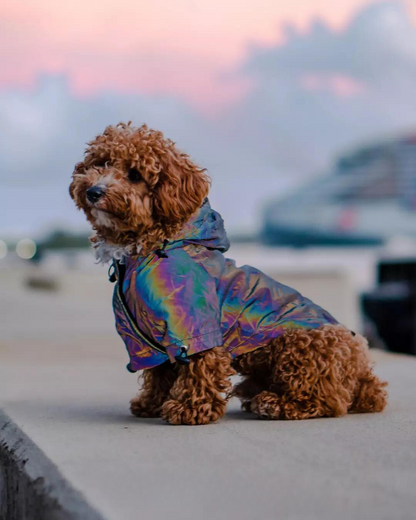 Reflective Dog Hoodie