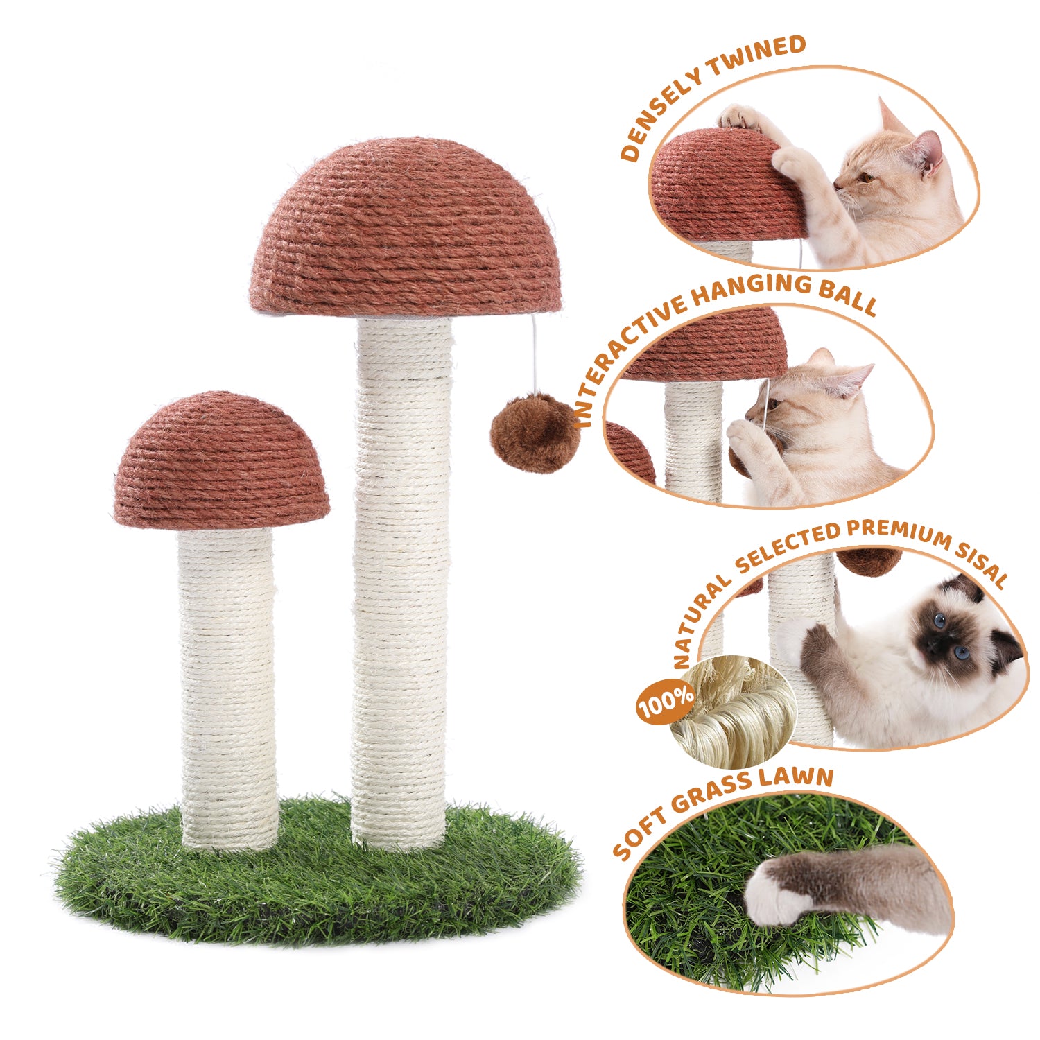  cat tree mushroom details